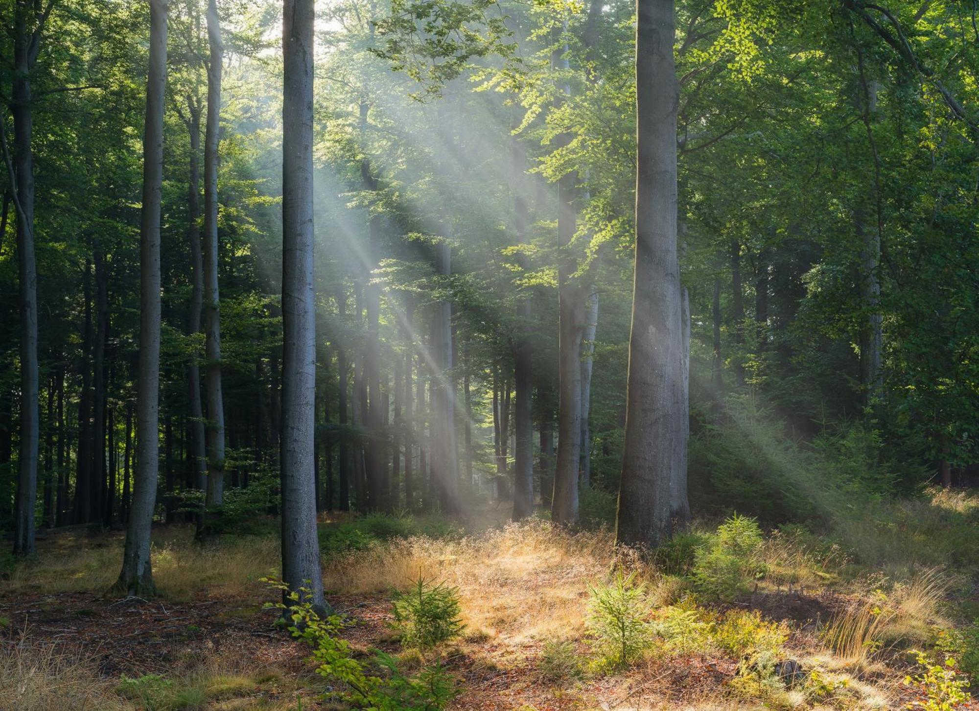 Greenhouse Sart-lez-Spa Zewnętrze zdjęcie